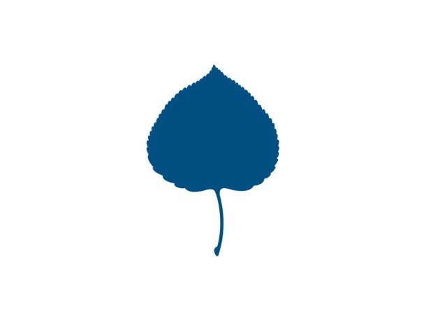 Aspen Institute | CSReports